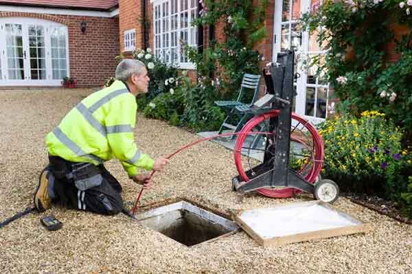 how drainage service helps maintain a healthy garden